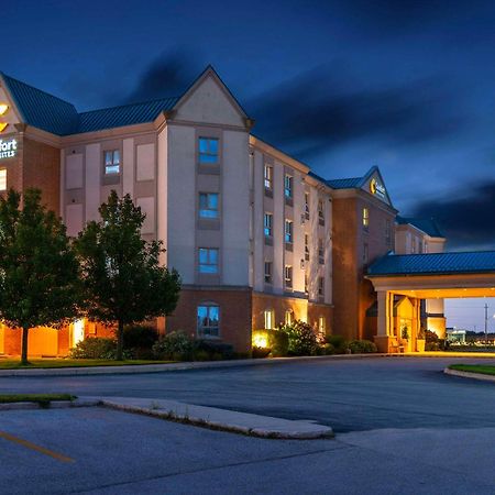 Comfort Inn & Suites Кинкардин Экстерьер фото