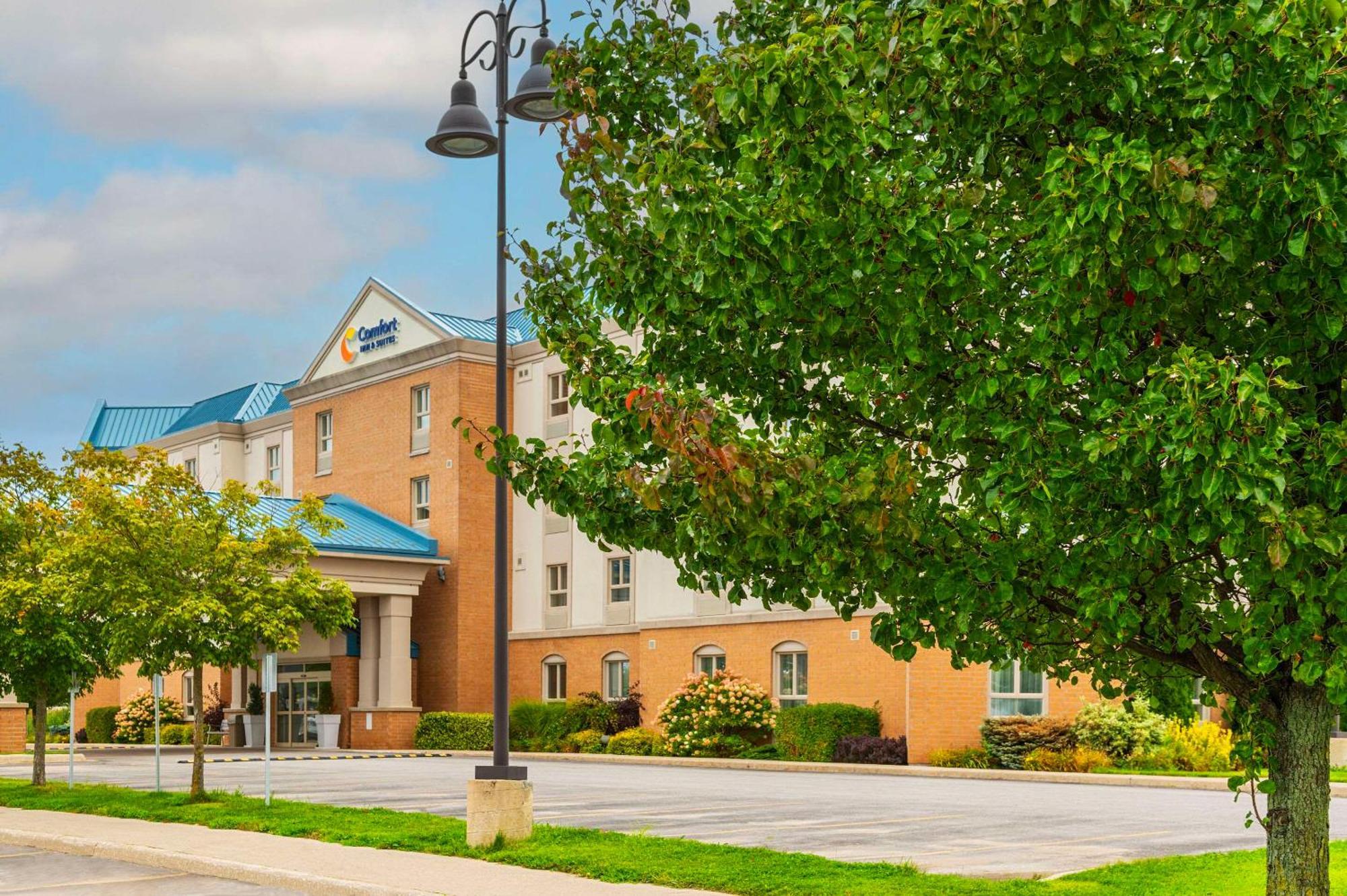 Comfort Inn & Suites Кинкардин Экстерьер фото